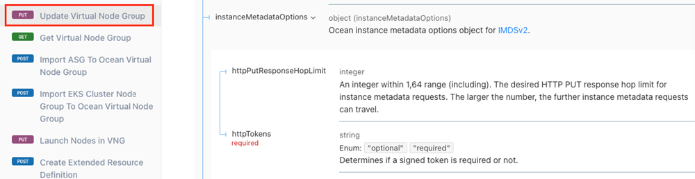 api-instance-metadata-vng-screenshot